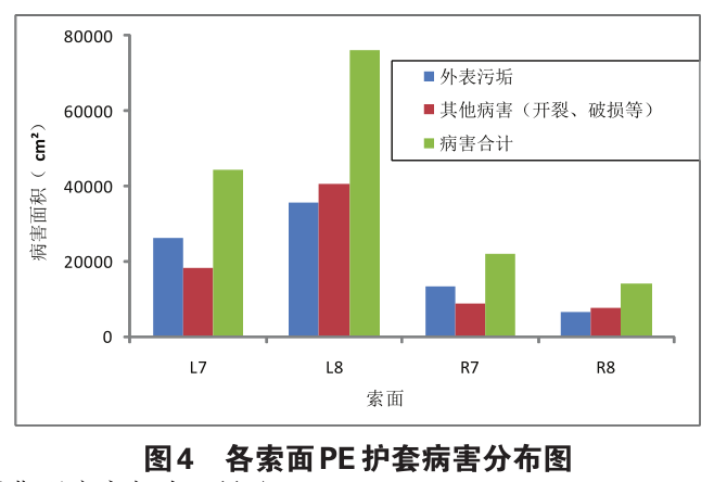 拉索pe层检测